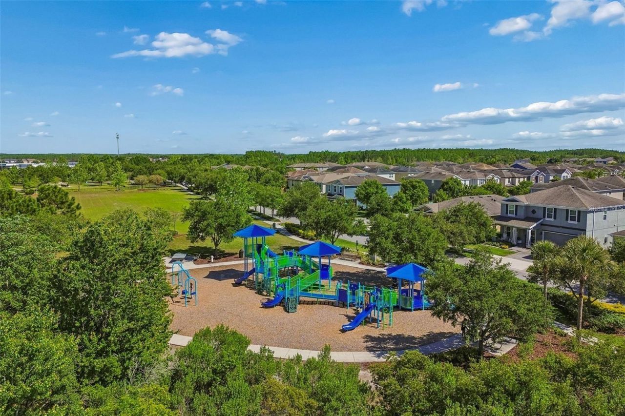 4000 Blue Lantana Lane , Land O Lakes, FL 34638 Photo