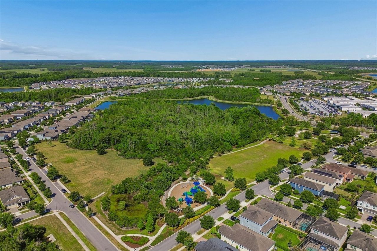 4000 Blue Lantana Lane , Land O Lakes, FL 34638 Photo