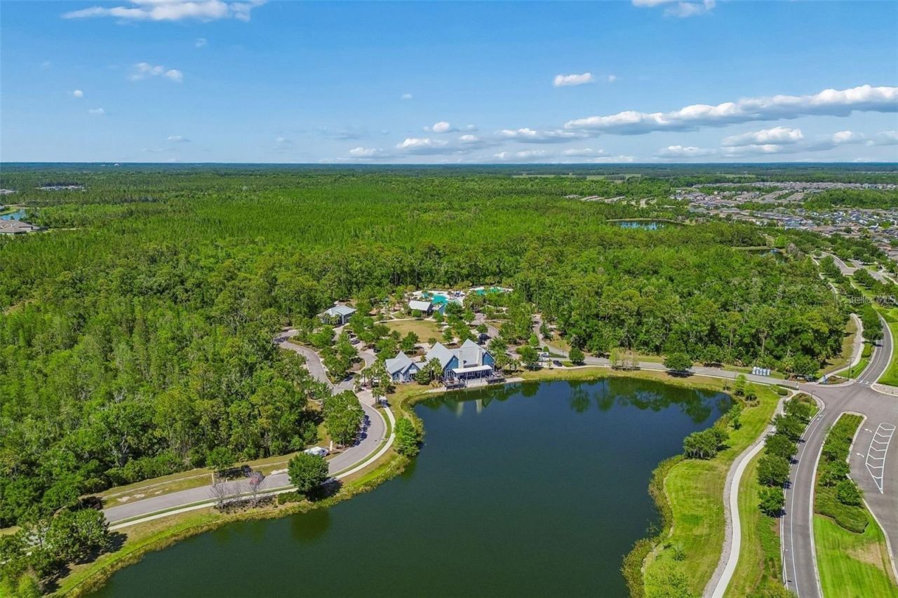 4000 Blue Lantana Lane , Land O Lakes, FL 34638 Photo