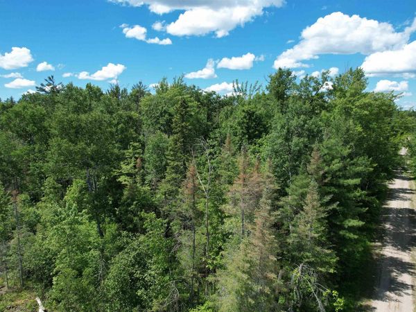 3936 Deadstream Road S, Houghton Lake, MI 48629