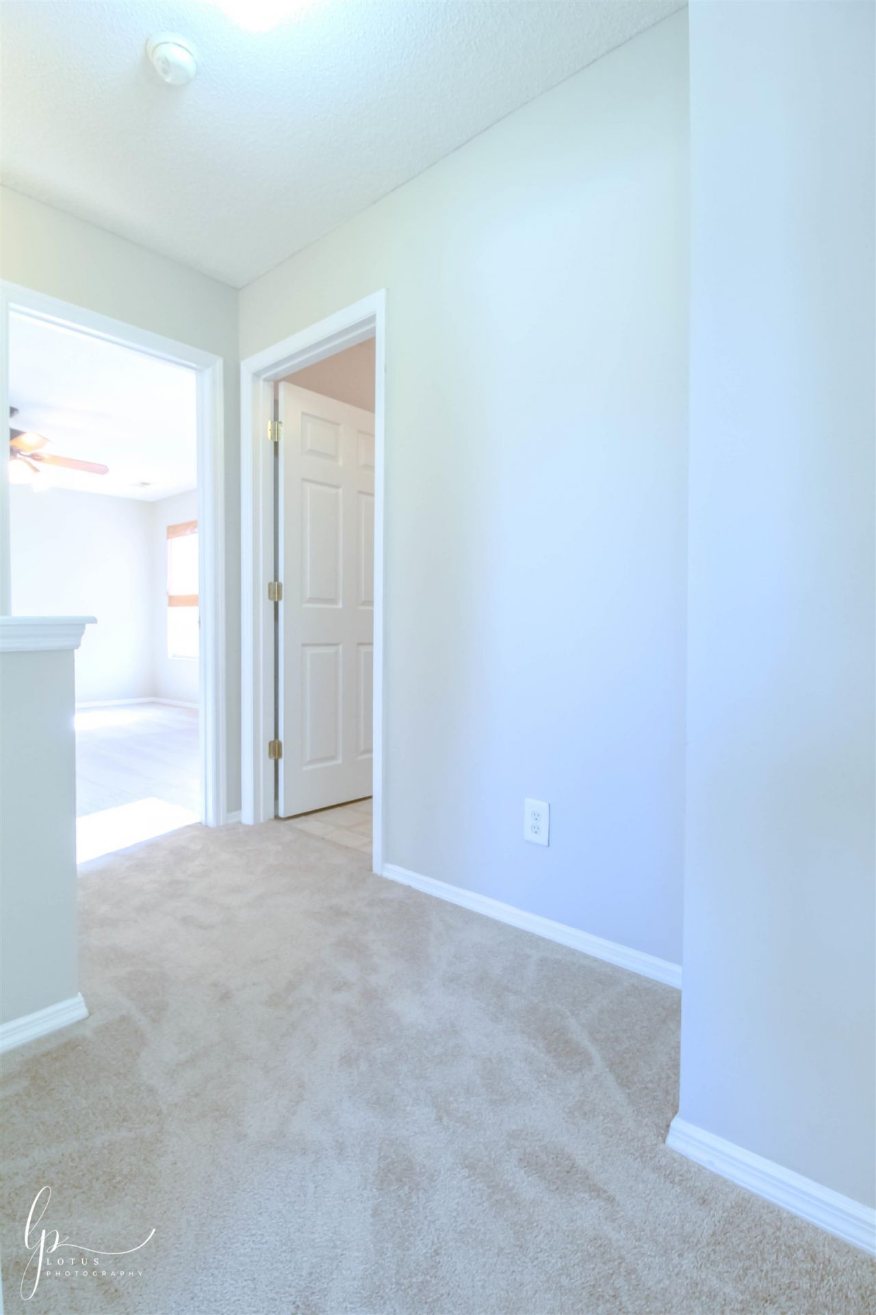 2013 Laurel Oak Ct.  Photo 21