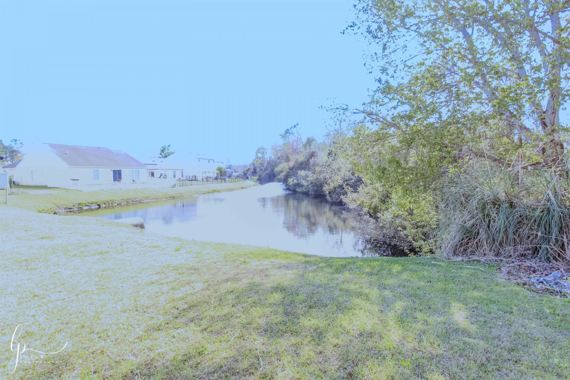 2013 Laurel Oak Ct.  Photo 26