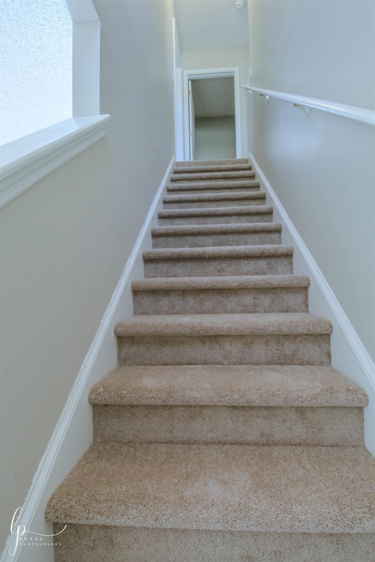 2013 Laurel Oak Ct.  Photo 8