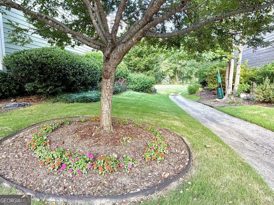 Property Image 48