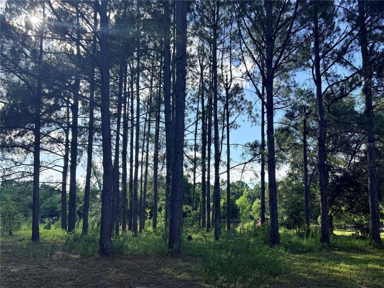 259 SE Rattler Court, High Springs, FL 32643 Photo