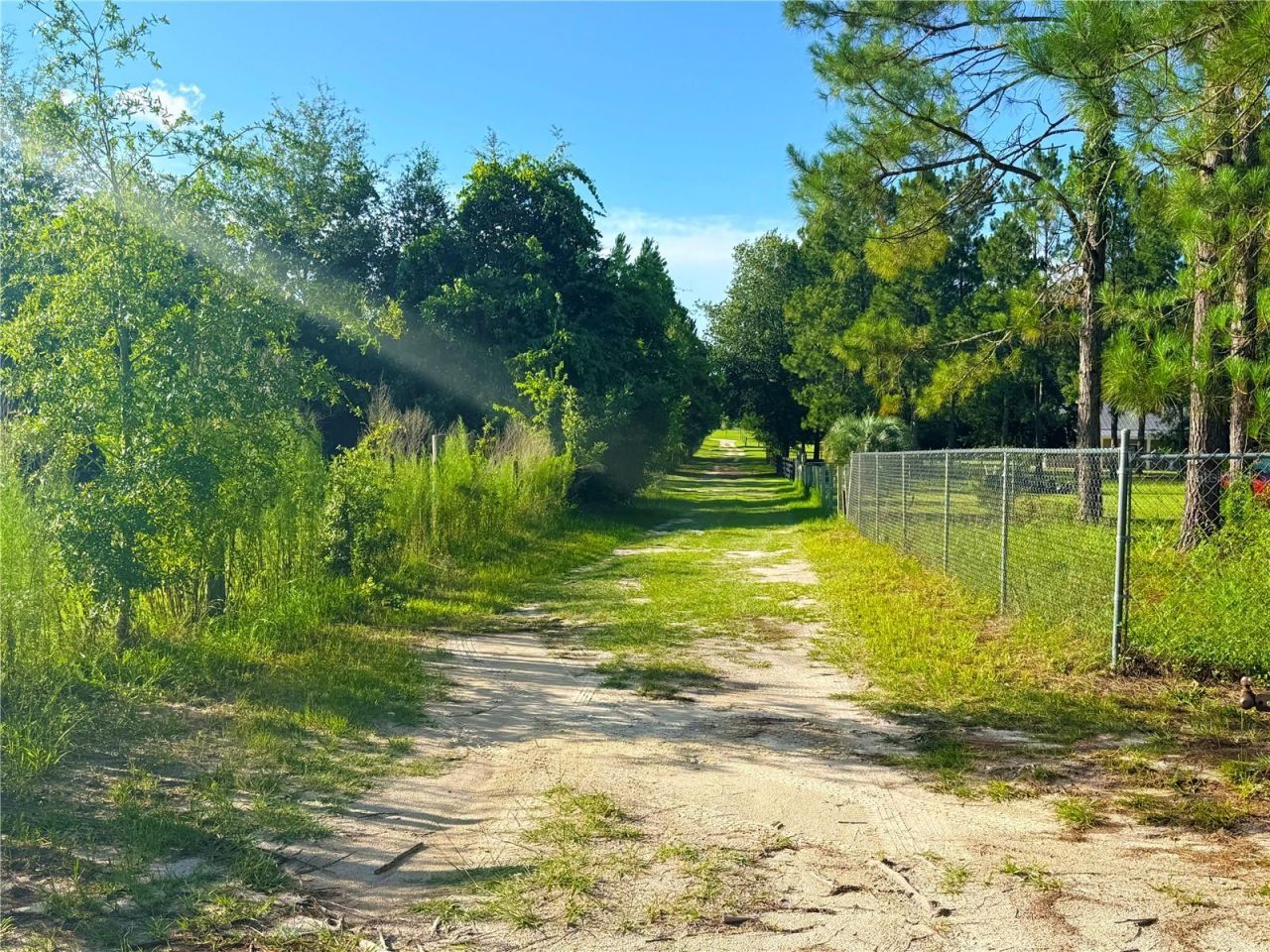 259 SE Rattler Court, High Springs, FL 32643 Photo