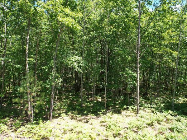 2966 Houghton Lake Road W, Lake City, MI 49651