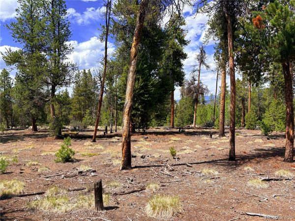 360 Lodgepole Drive , Leadville, CO 80461