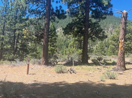 3559 Knob Point Trail, Lot #90, Carson City, NV 89705 Photo