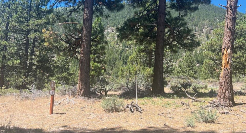 3559 Knob Point Trail, Lot #90, Carson City, NV 89705 Photo