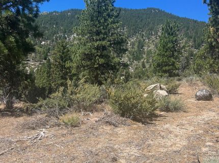 3559 Knob Point Trail, Lot #90, Carson City, NV 89705 Photo