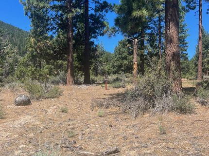 3559 Knob Point Trail, Lot #90, Carson City, NV 89705 Photo