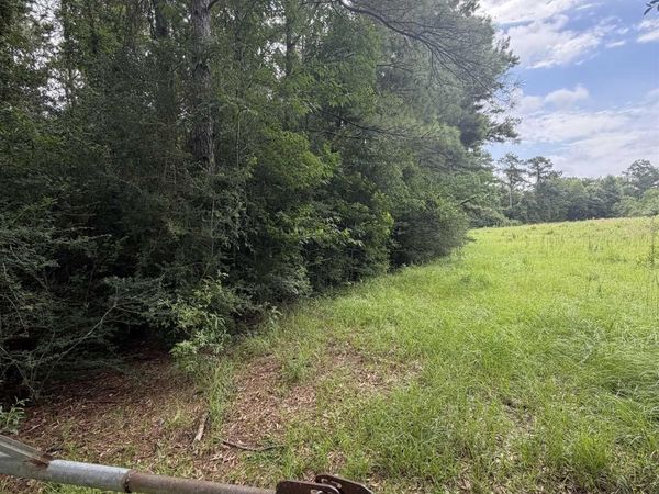 TBD 745 Acres Belgian Road, Holden, LA 70744