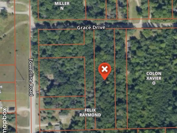 6461 Grace Drive, Hale, MI 48739
