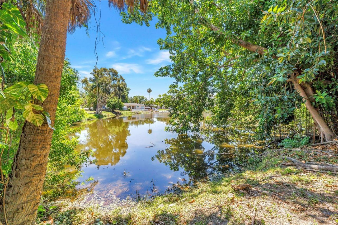 5846 12th Street S, Saint Petersburg, FL 33705 Photo
