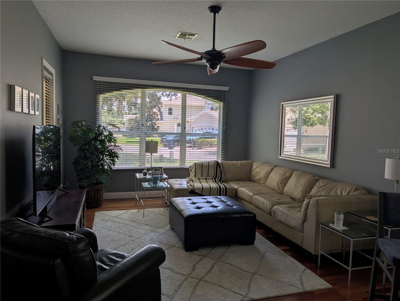 7419 Wimpole Drive , New Port Richey, FL 34655 Photo