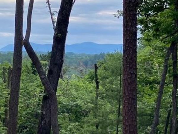 Lot 132 Red Oak Trail, Ellijay, GA 30540