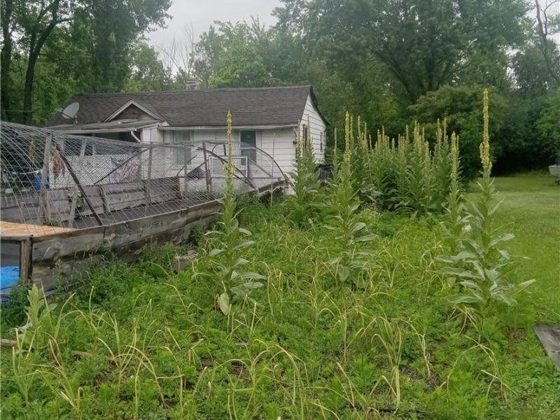 731 16th Street, Elyria, OH 44035 Photo 7