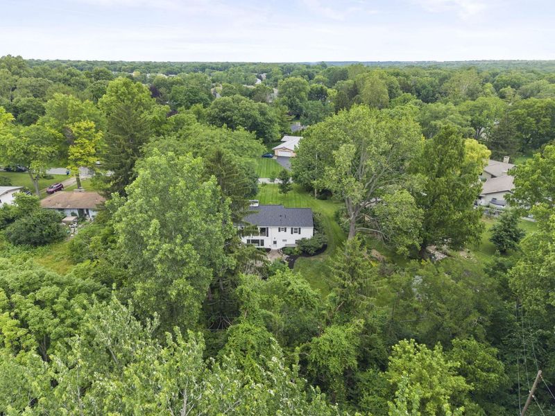 883 Clover Drive, Columbus, OH 43235 Photo 59