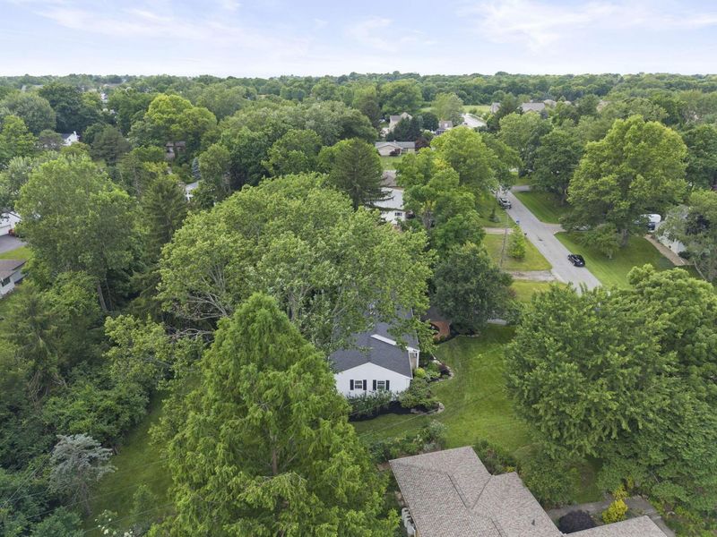 883 Clover Drive, Columbus, OH 43235 Photo 65
