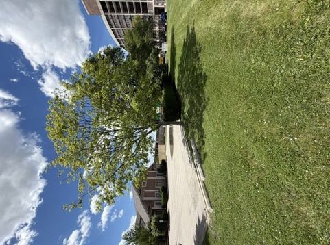Main Photo