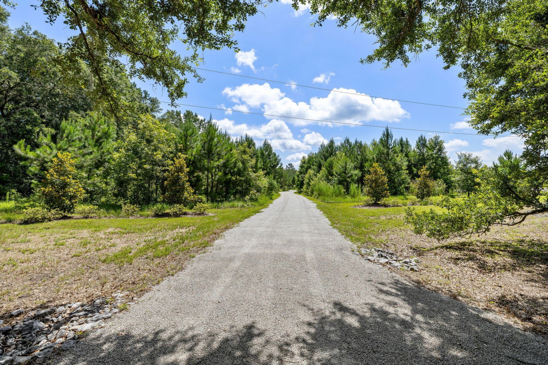 7344 Eddy Farm Road Photo 25