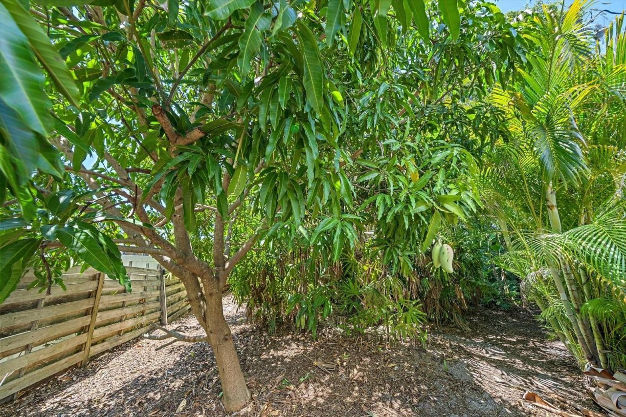 2462 Clematis Street , Sarasota, FL 34239 Photo