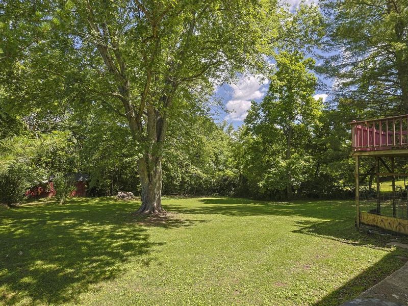 1225 Violet Road, Crittenden, KY 41030 Photo 34