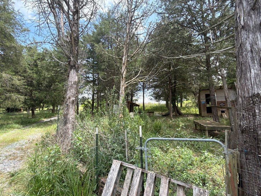 Property Image 18