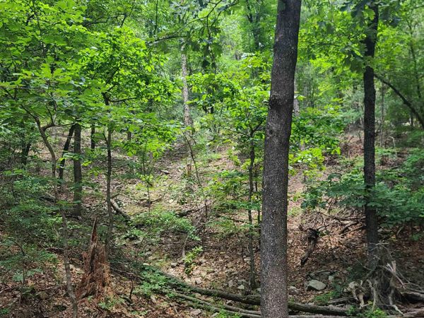 00 Dorothy Lane , Ward, AR 72176