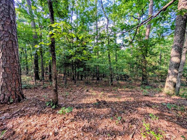 198 Cathedral Pines , Mena, AR 71953