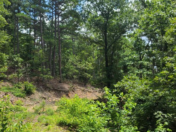 000 Cedar Glade Rd- Lot #WP000 , Hot Springs, AR 71913