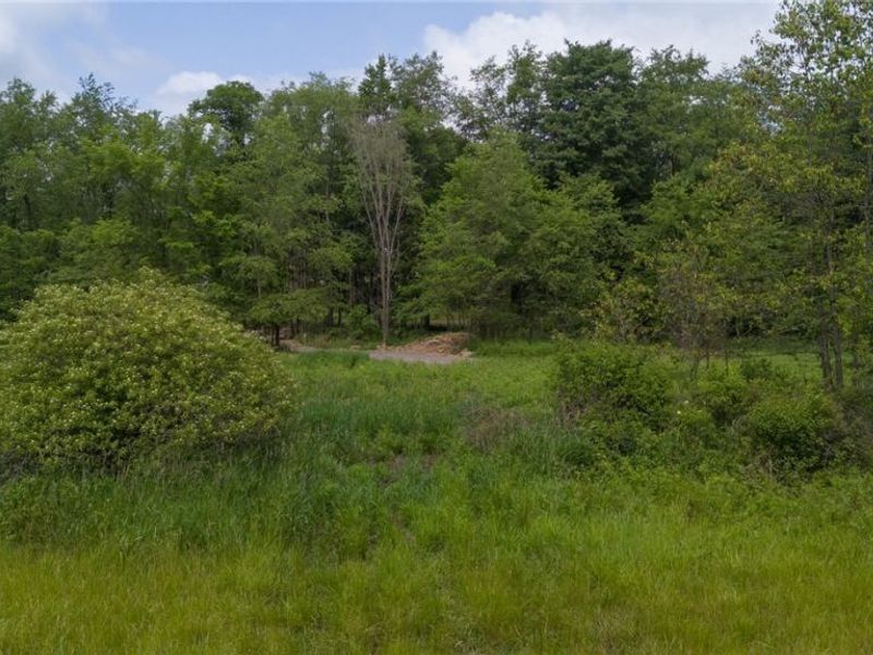 Briggle Avenue SW, East Sparta, OH 44626 Photo 14
