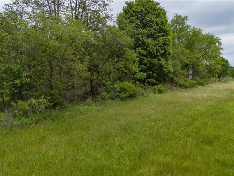 Briggle Avenue SW, East Sparta, OH 44626 Photo 15