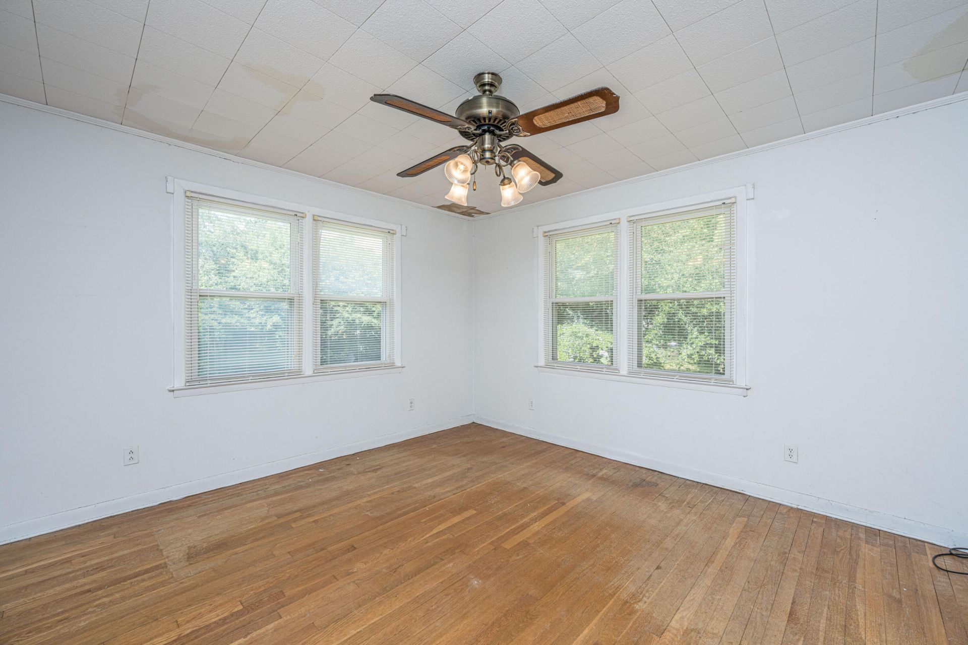 107 Wilmer Avenue Photo 40