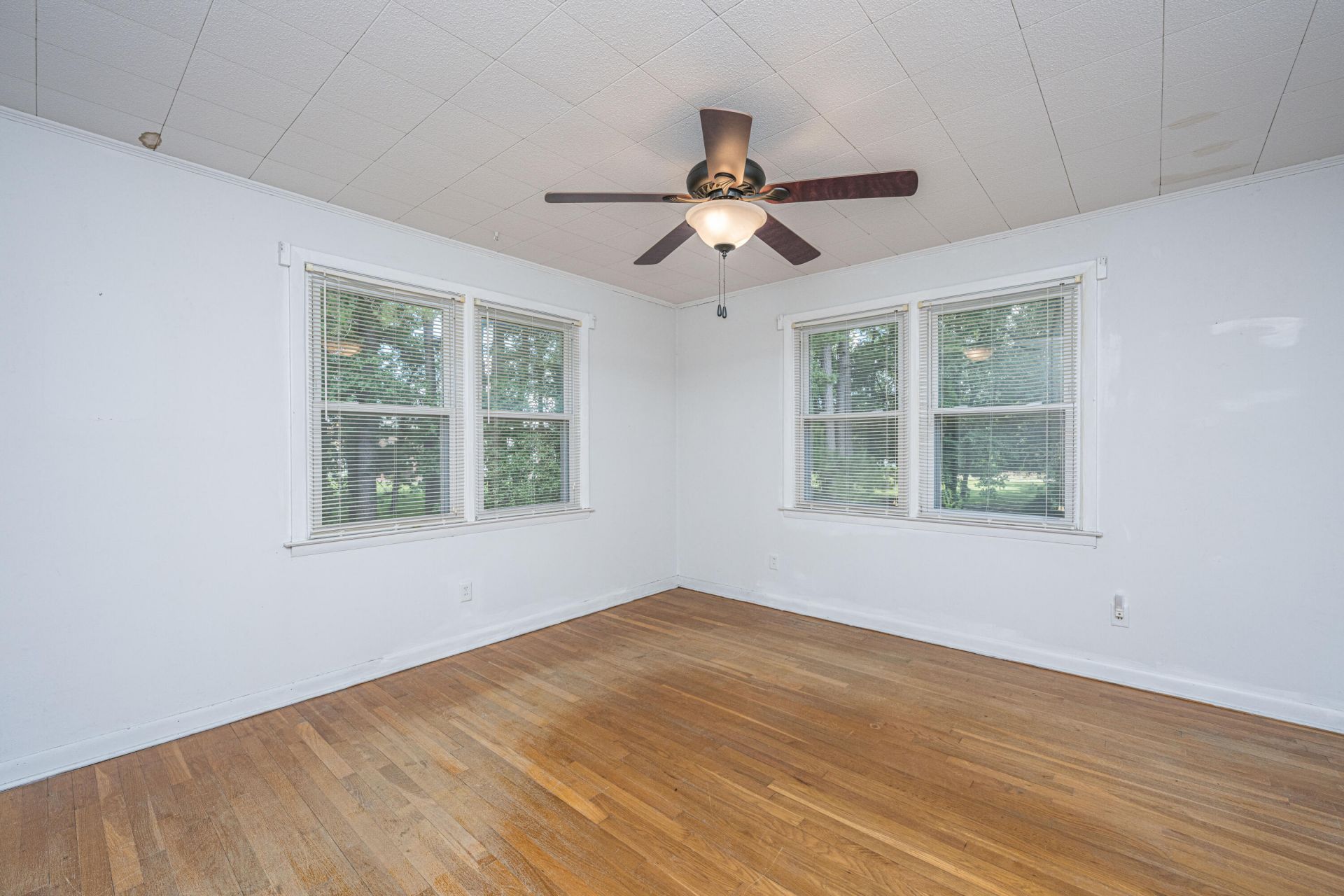 107 Wilmer Avenue Photo 43