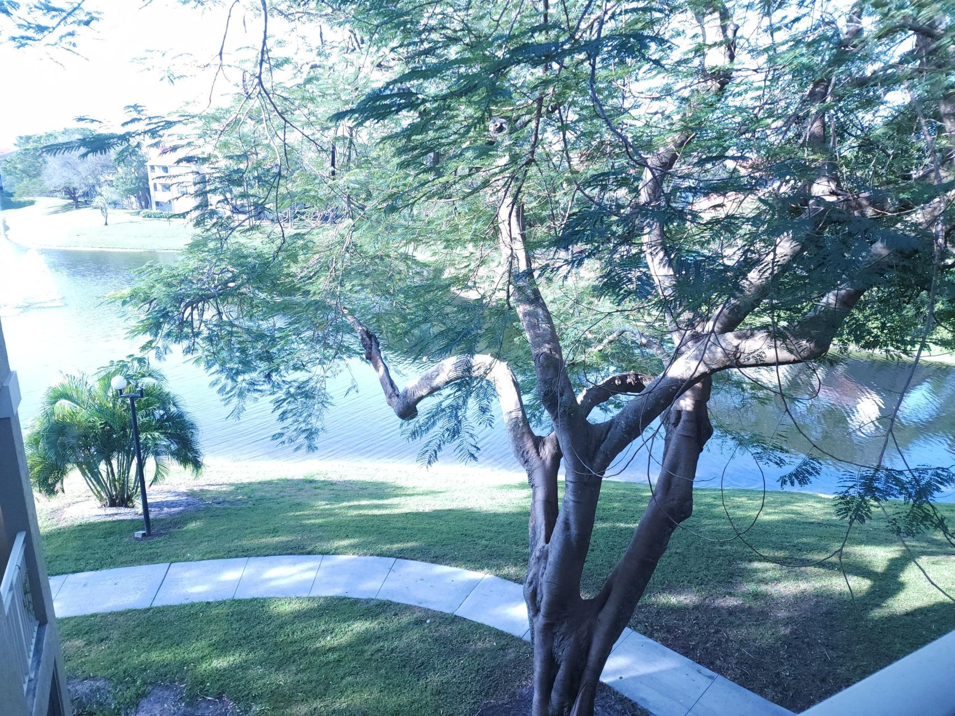1745 Palm Cove Boulevard, Unit 3-305, Delray Beach, FL 33445 Photo