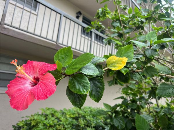 7450 NW 17th Street, Unit 110, Plantation, FL 33313