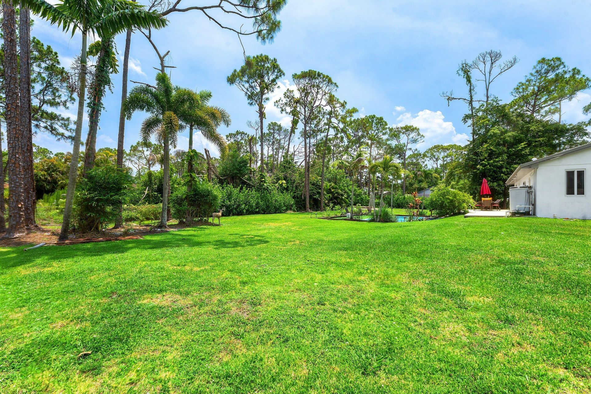 12944 68th Street N, The Acreage, FL 33412 Photo