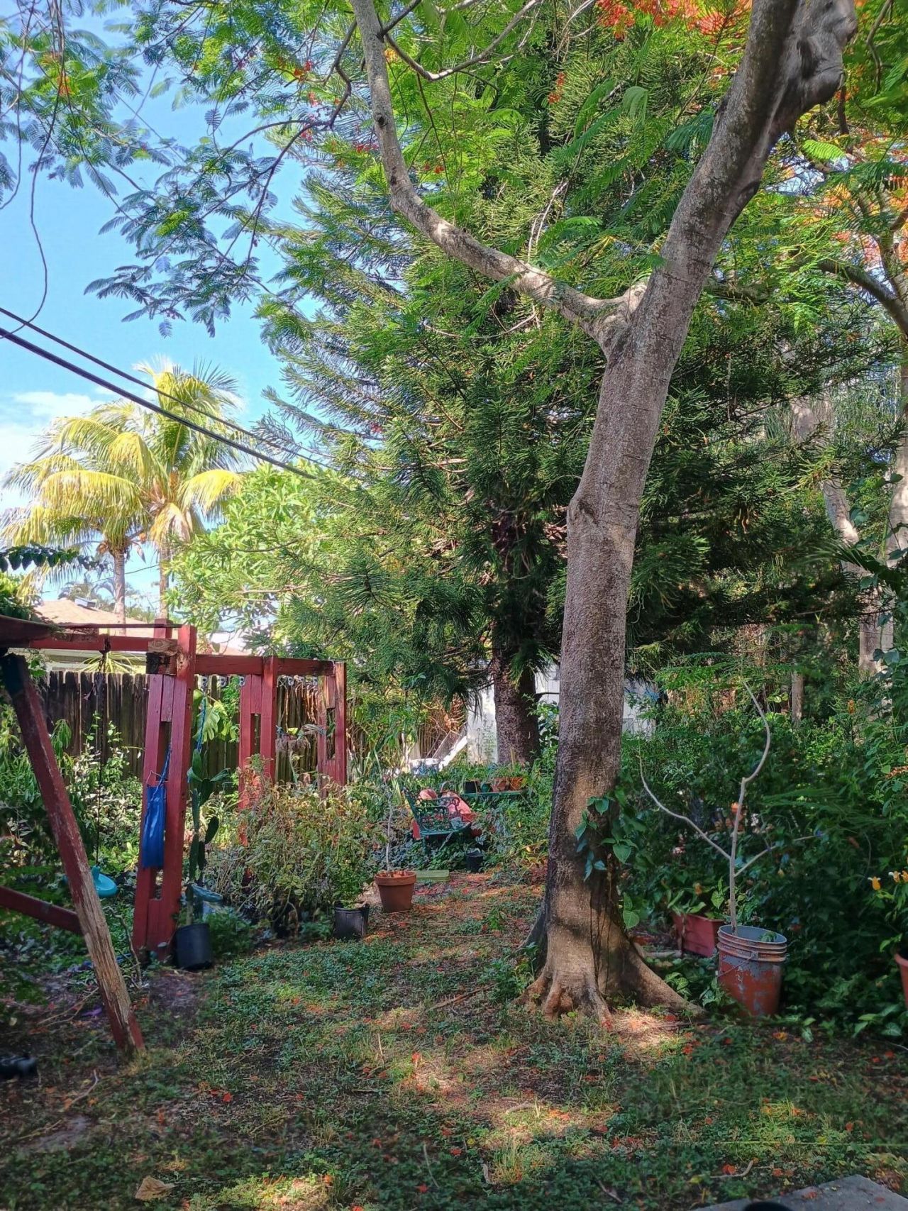 831 N Forest Hill Boulevard, West Palm Beach, FL 33405 Photo