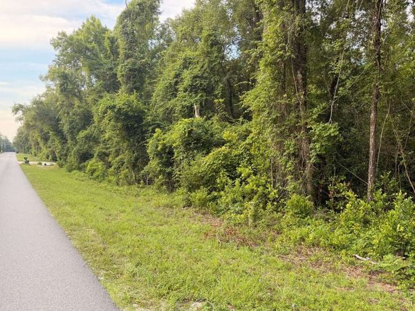 TBD SW NEWARK DRIVE, Fort White, FL 32038