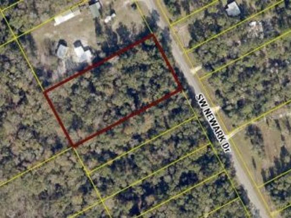TBD SW NEWARK DRIVE, Fort White, FL 32038