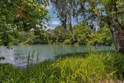 58 Beaver Pond Loop photo 4