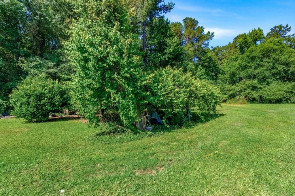 1715 Mineral Springs Rd. Photo 22