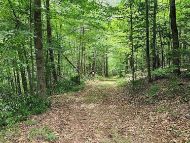 Cr-16 , Beaver Dams, NY 14812