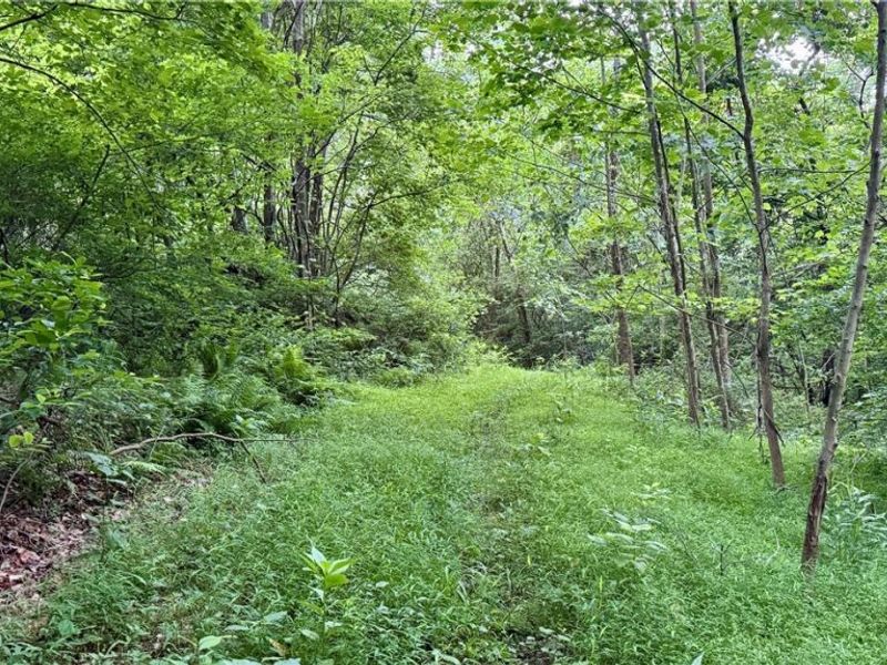 Marlott Run Road, Newcomerstown, OH 43983 Photo 10