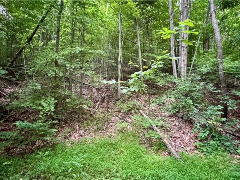 Marlott Run Road, Newcomerstown, OH 43983 Photo 11