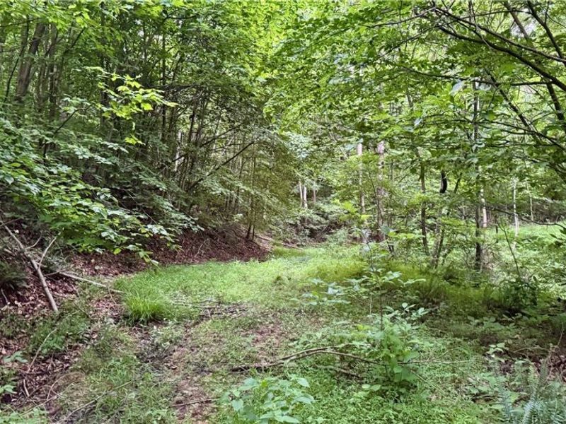 Marlott Run Road, Newcomerstown, OH 43983 Photo 12