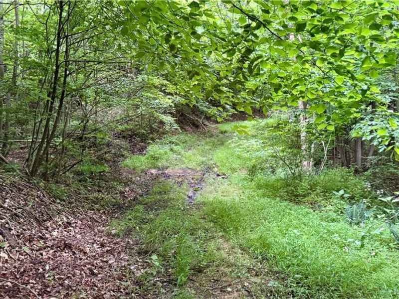 Marlott Run Road, Newcomerstown, OH 43983 Photo 13