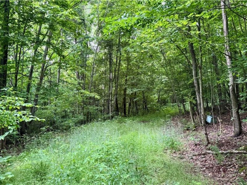 Marlott Run Road, Newcomerstown, OH 43983 Photo 15